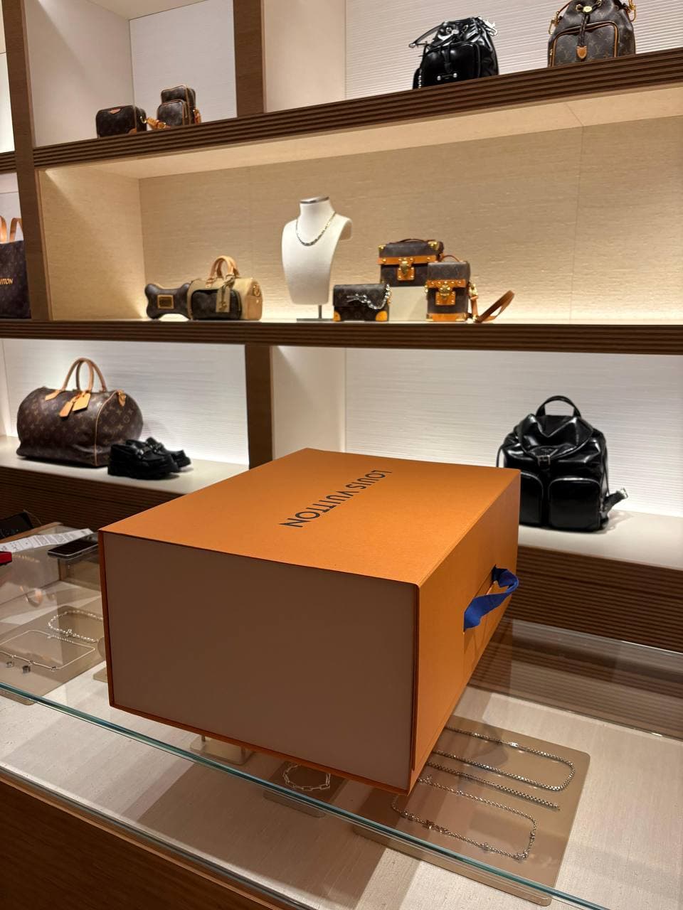 Доставили редкий чемодан от Louis Vuitton